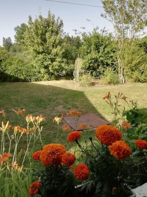 Maison De Village En Bord De Riviere Narcy エクステリア 写真