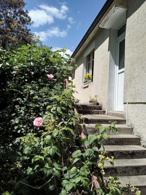 Maison De Village En Bord De Riviere Narcy エクステリア 写真