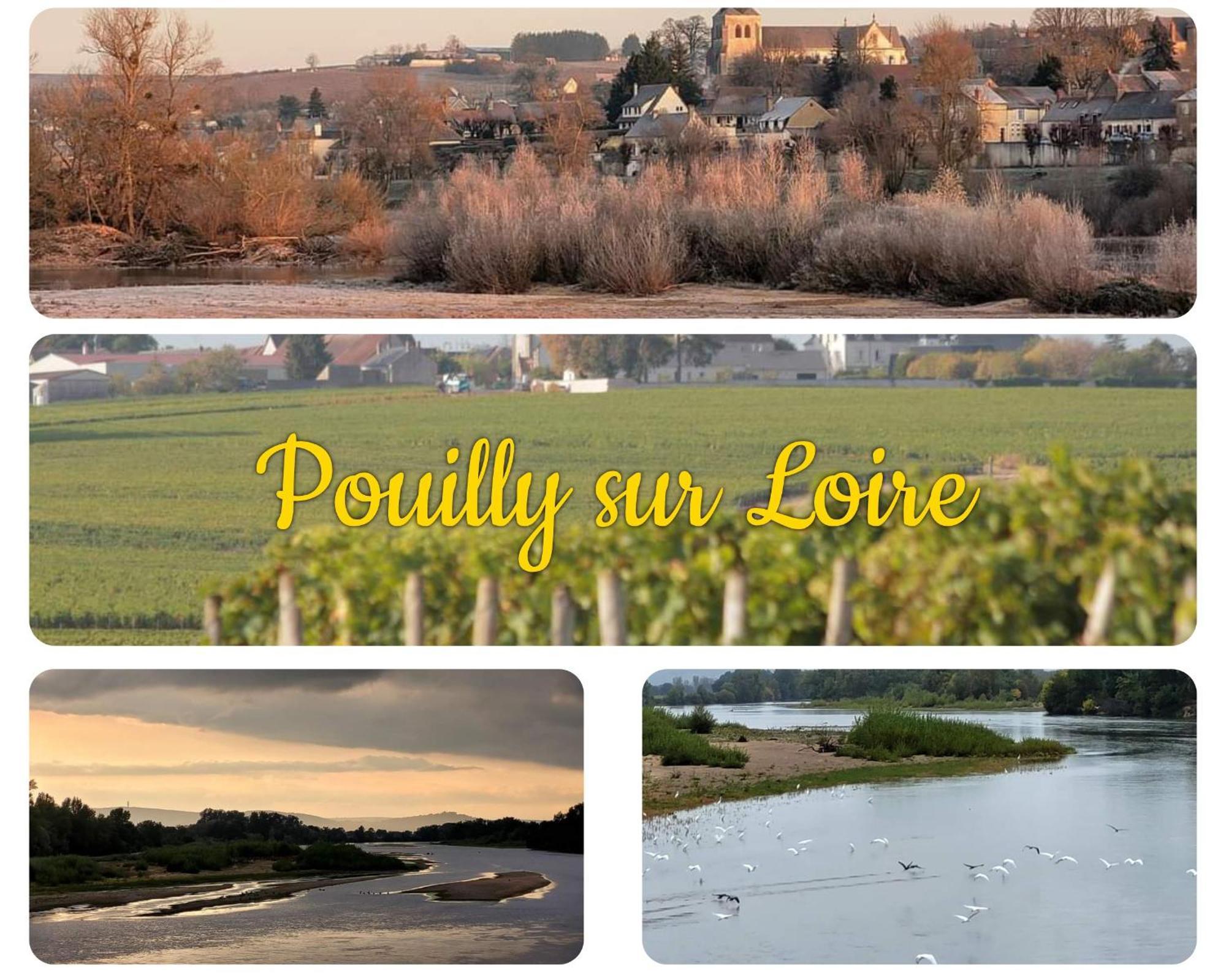 Maison De Village En Bord De Riviere Narcy エクステリア 写真